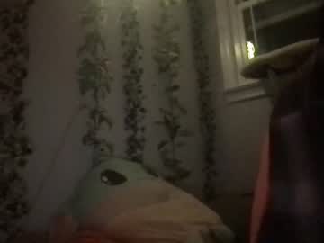 girl
        wallabyxxx cam image #33858