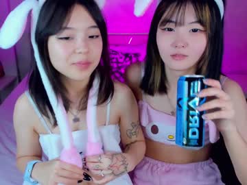 girl
        tiny_sora cam image #60617