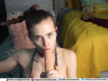 girl
        chloewildd cam image #7464
